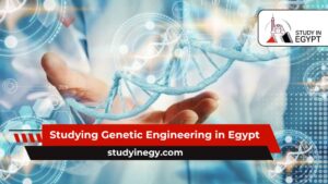 Studying Genetic Engineering in Egypt