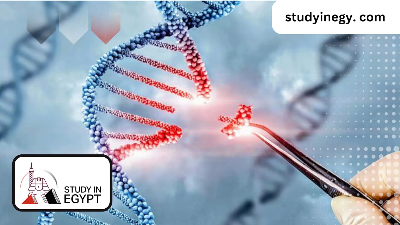 Studying Genetic Engineering in Egypt