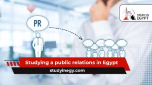 Studying a public relations in Egypt