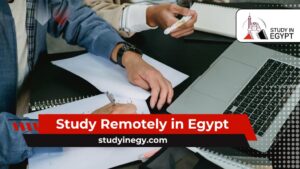 Study Remotely in Egypt