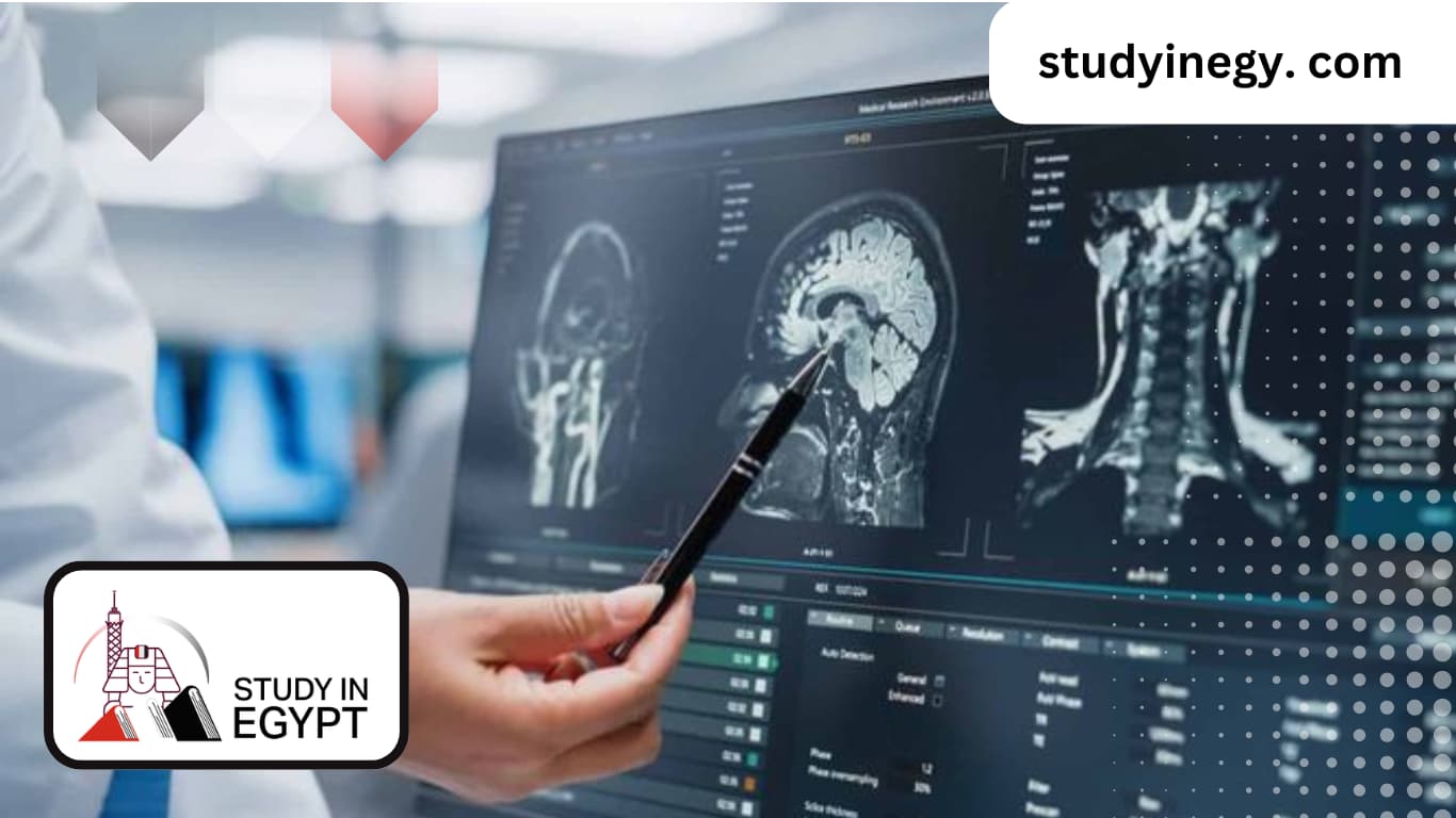 Master of Radiation Biology in Egypt