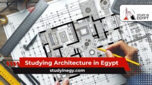 Studying Architecture in Egypt