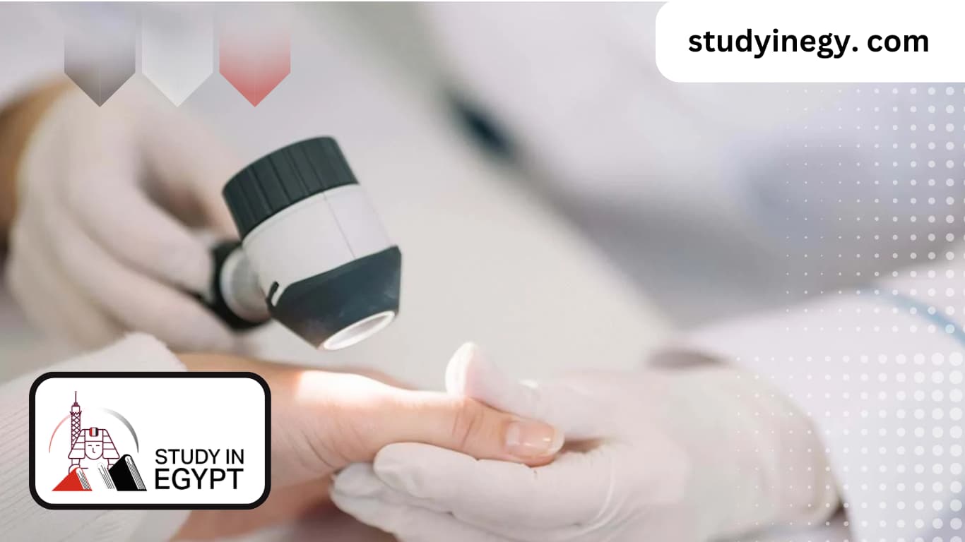 Studying Dermatology in Egypt