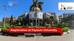 Registration at Fayoum University
