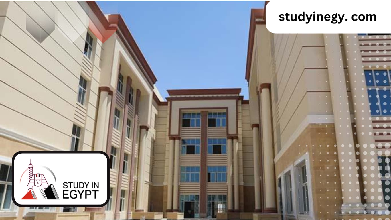 Registration at Beni Suef University