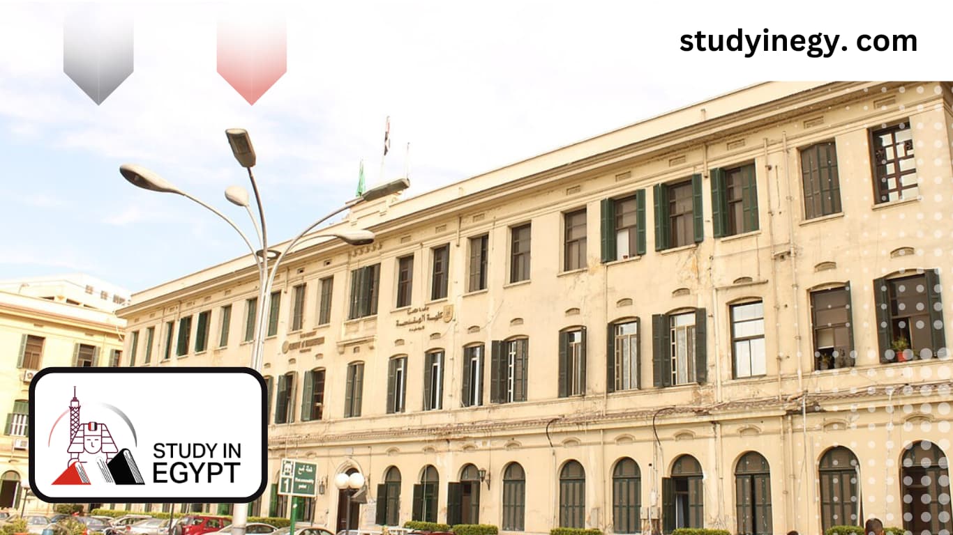 Cairo University Faculty of Engineering Departments