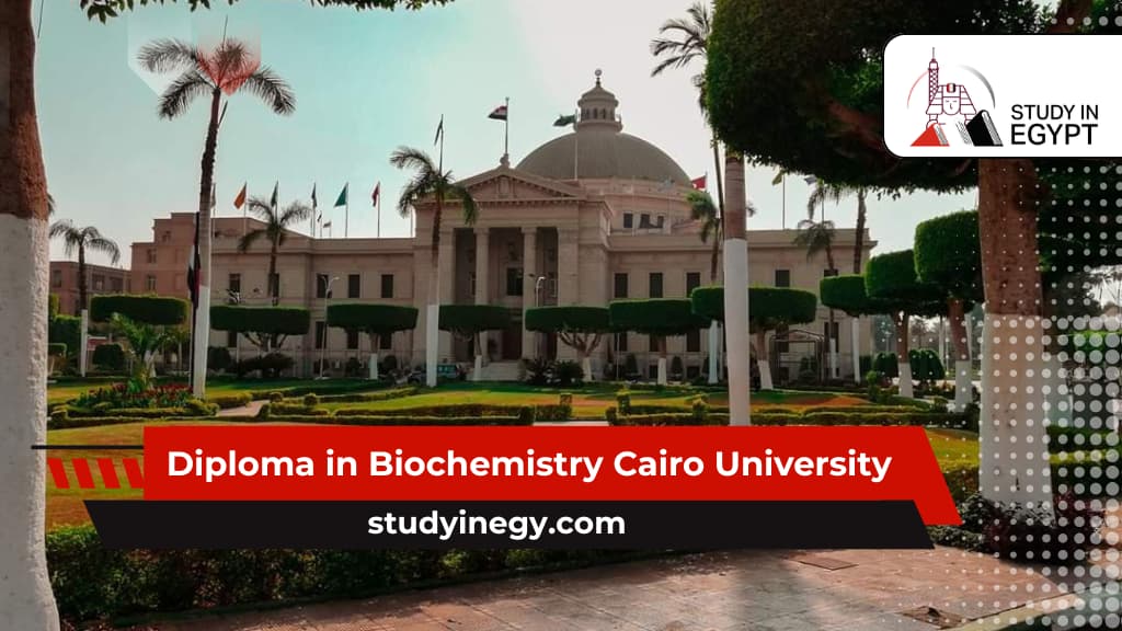 Diploma in Biochemistry Cairo University