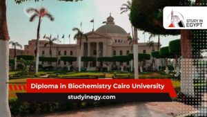 Diploma in Biochemistry Cairo University