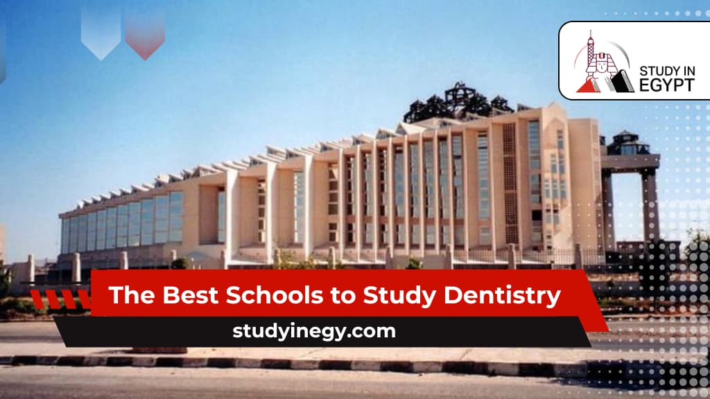 The Best Schools to Study Dentistry