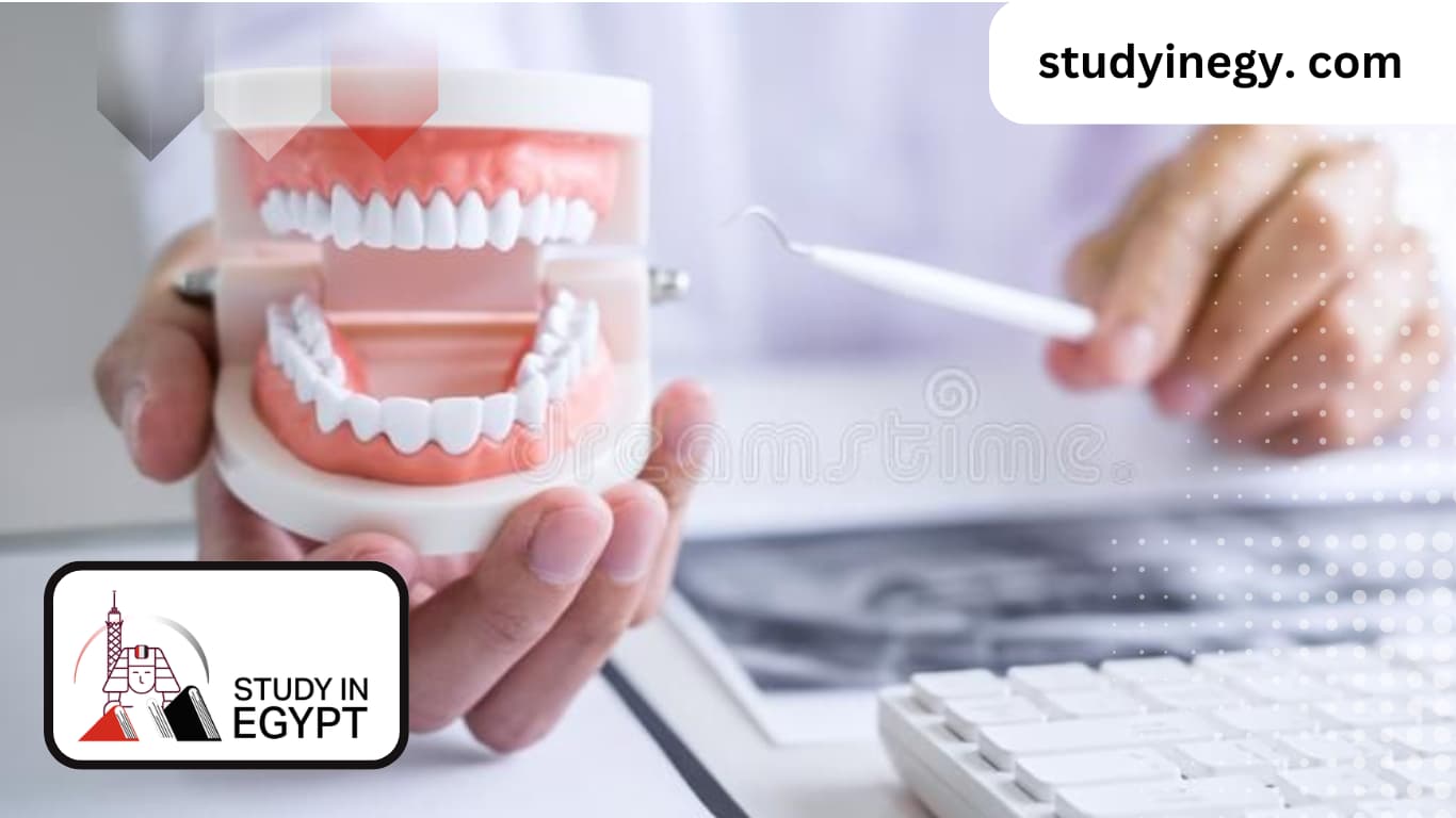 The Best Schools to Study Dentistry