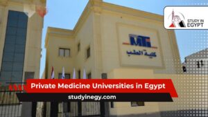 Private Medicine Universities in Egypt