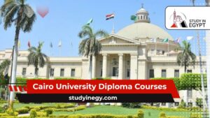 Cairo University Diploma Courses