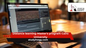 Distance learning Master's program Cairo University