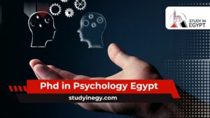 Phd in Psychology Egypt