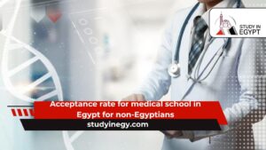 Acceptance rate for medical school in Egypt for non-Egyptians