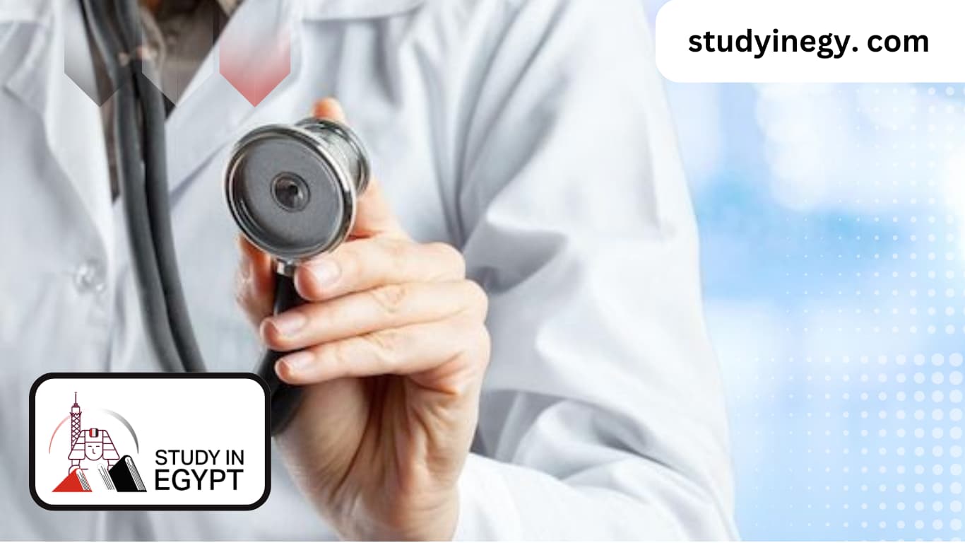 Acceptance rate for medical school in Egypt for non-Egyptians