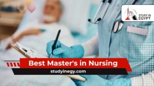 Best Master's in Nursing
