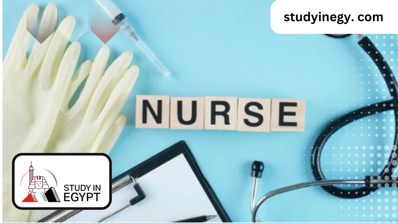 Best Master's in Nursing