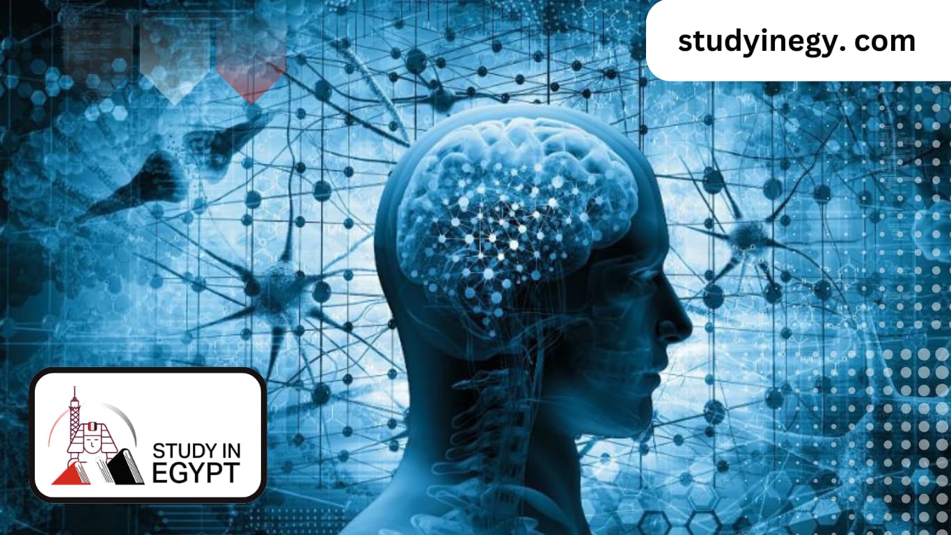 Studying Doctorate in Clinical Psychology