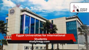Egypt Universities for International Students