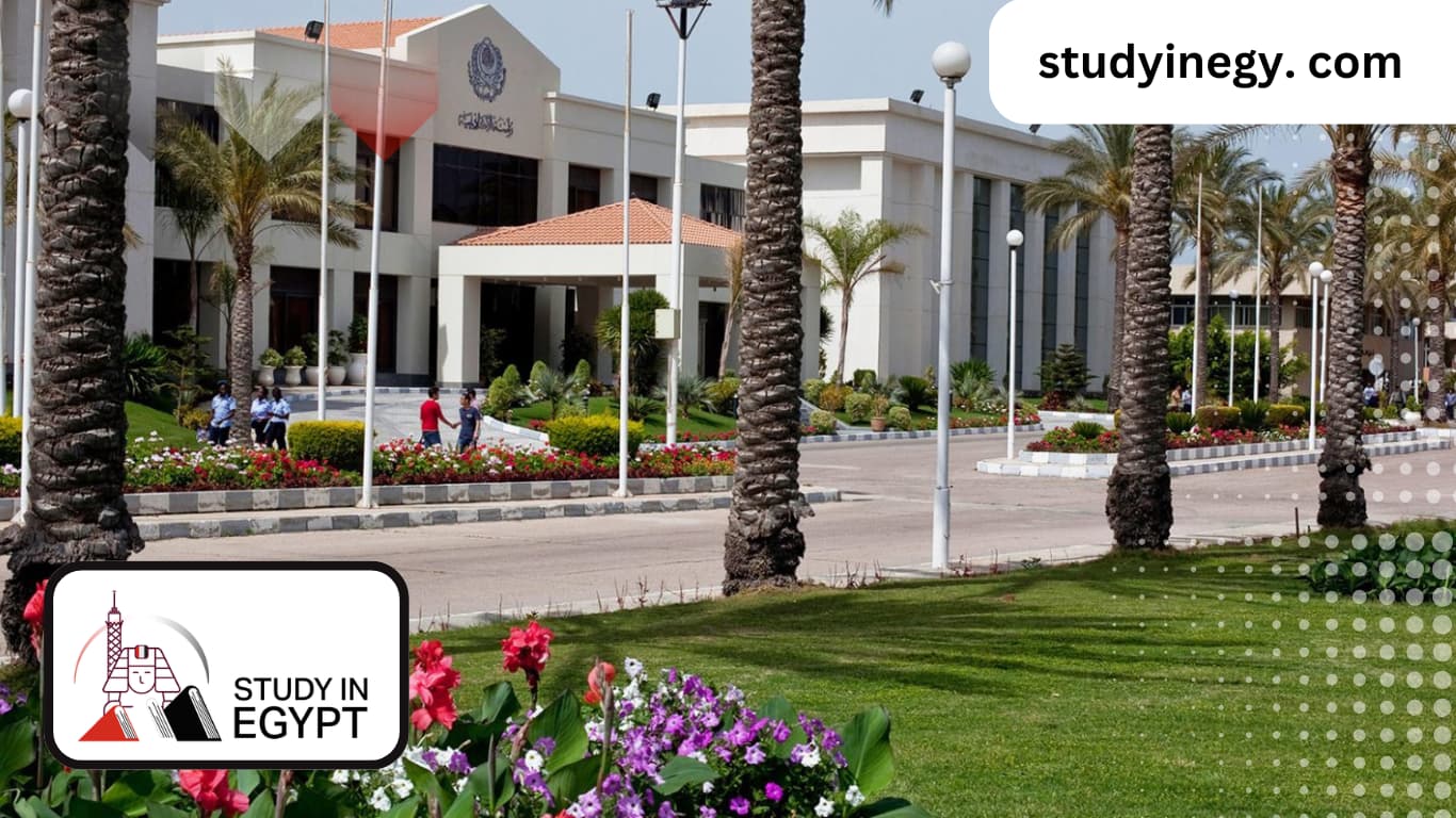 Egypt Universities for International Students