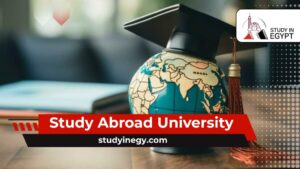 Study Abroad University