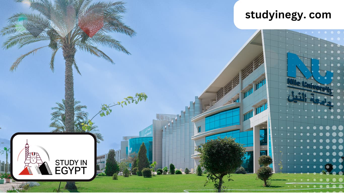 Study Abroad University