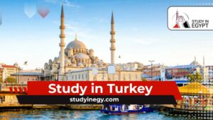 Study in Turkey