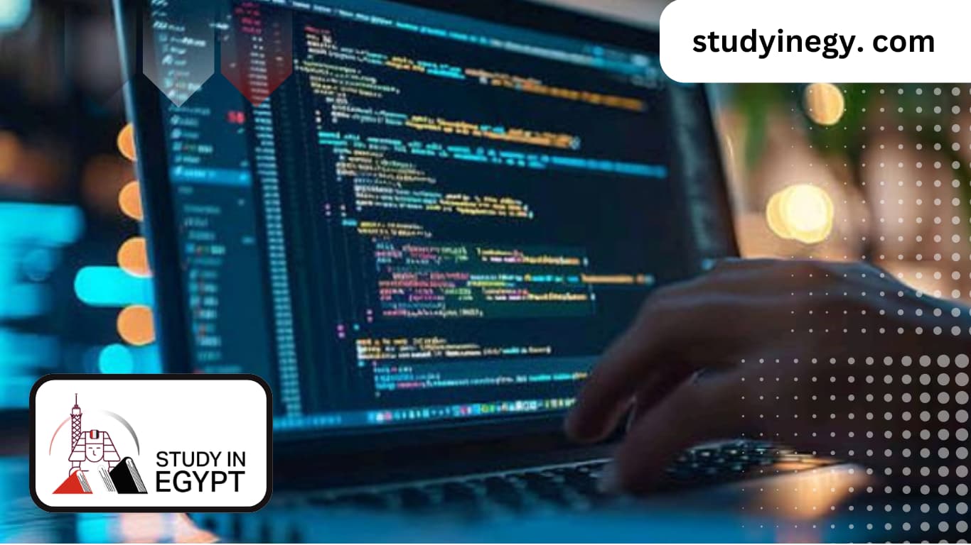 Best Software Engineering Colleges In Egypt