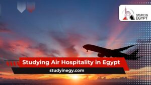 Studying Air Hospitality in Egypt