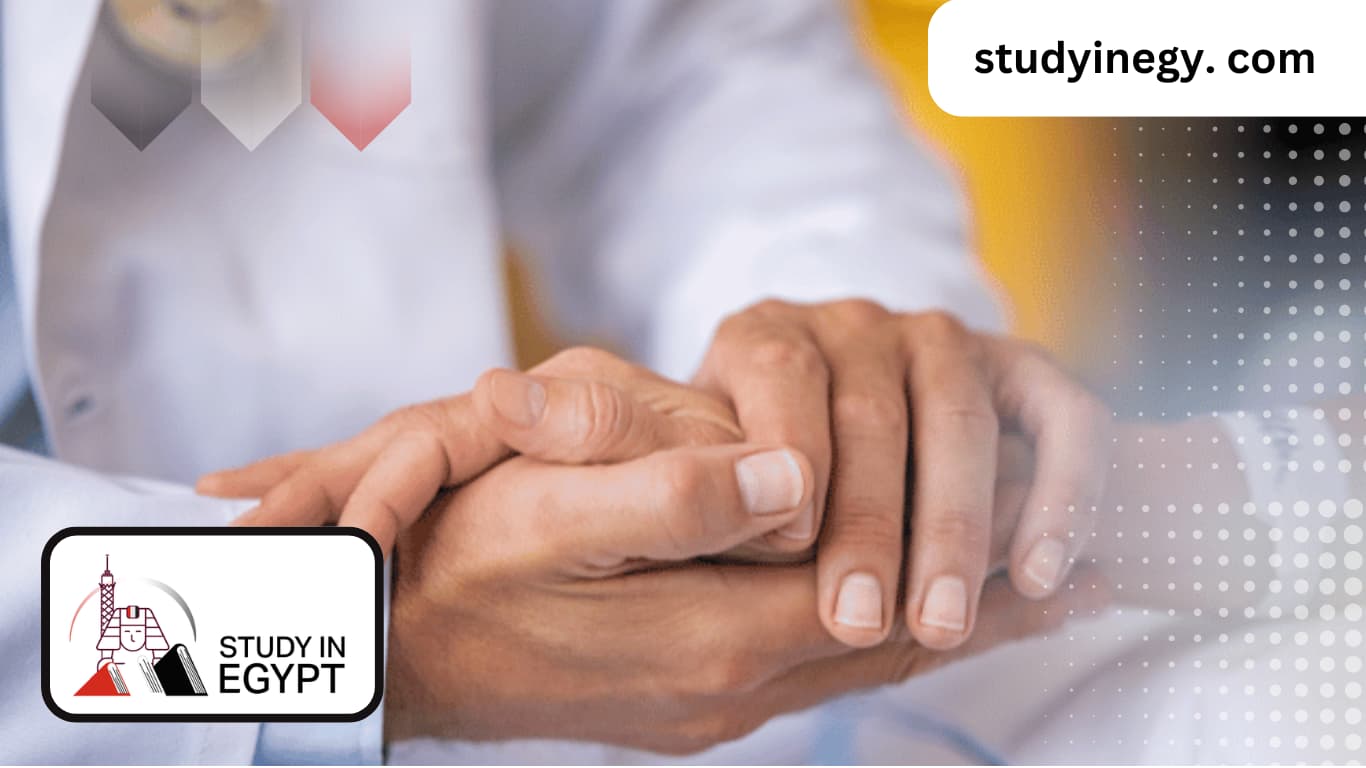 Studying Air Hospitality in Egypt