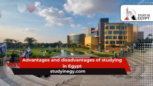 Advantages and disadvantages of studying in Egypt