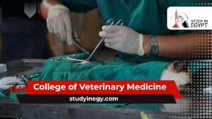 College of Veterinary Medicine