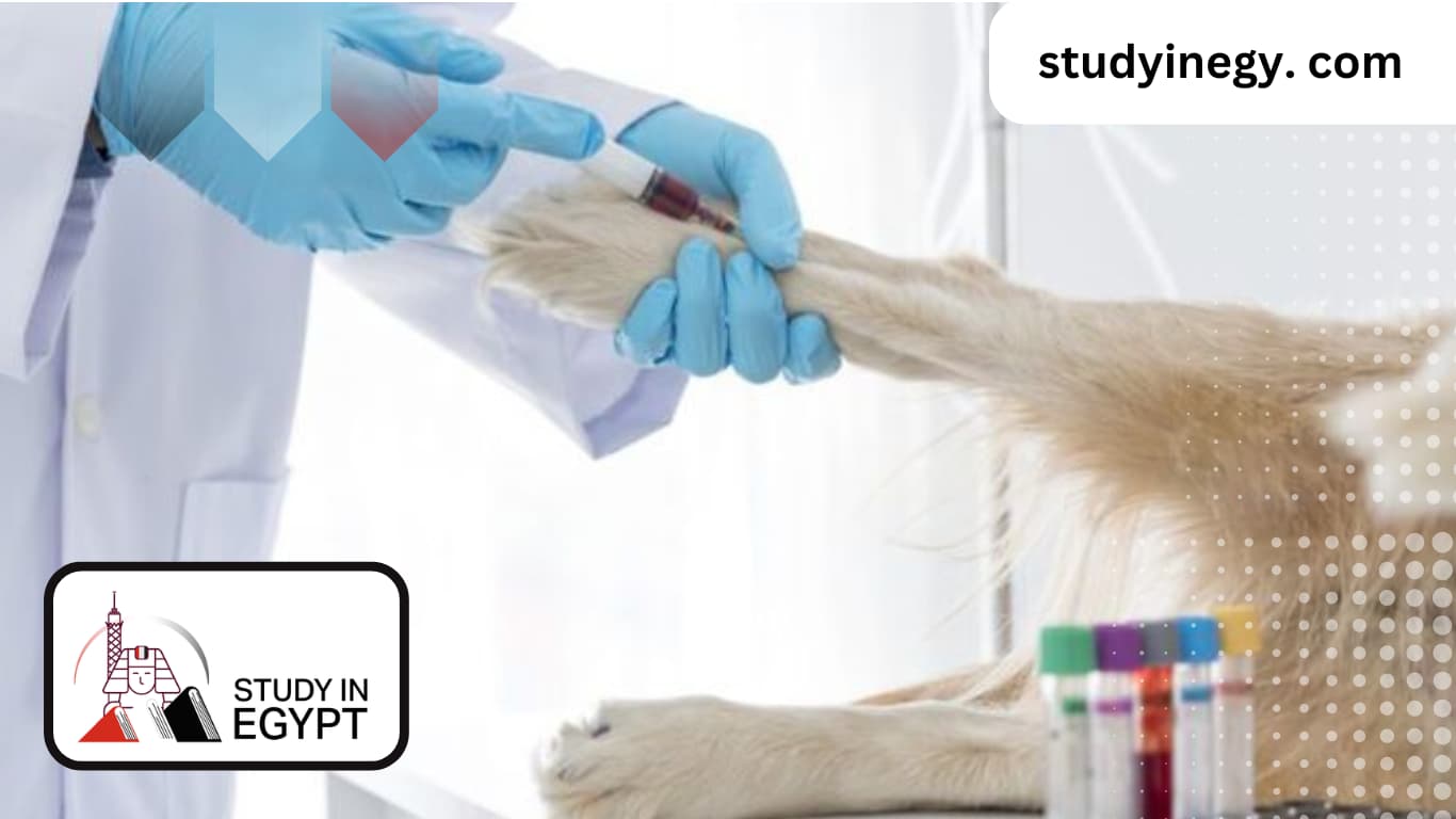 College of Veterinary Medicine