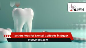 Tuition Fees for Dental Colleges in Egypt
