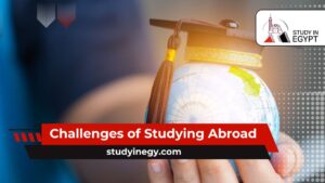 Challenges of Studying Abroad