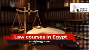 Law courses in Egypt