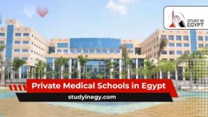 Private Medical Schools in Egypt