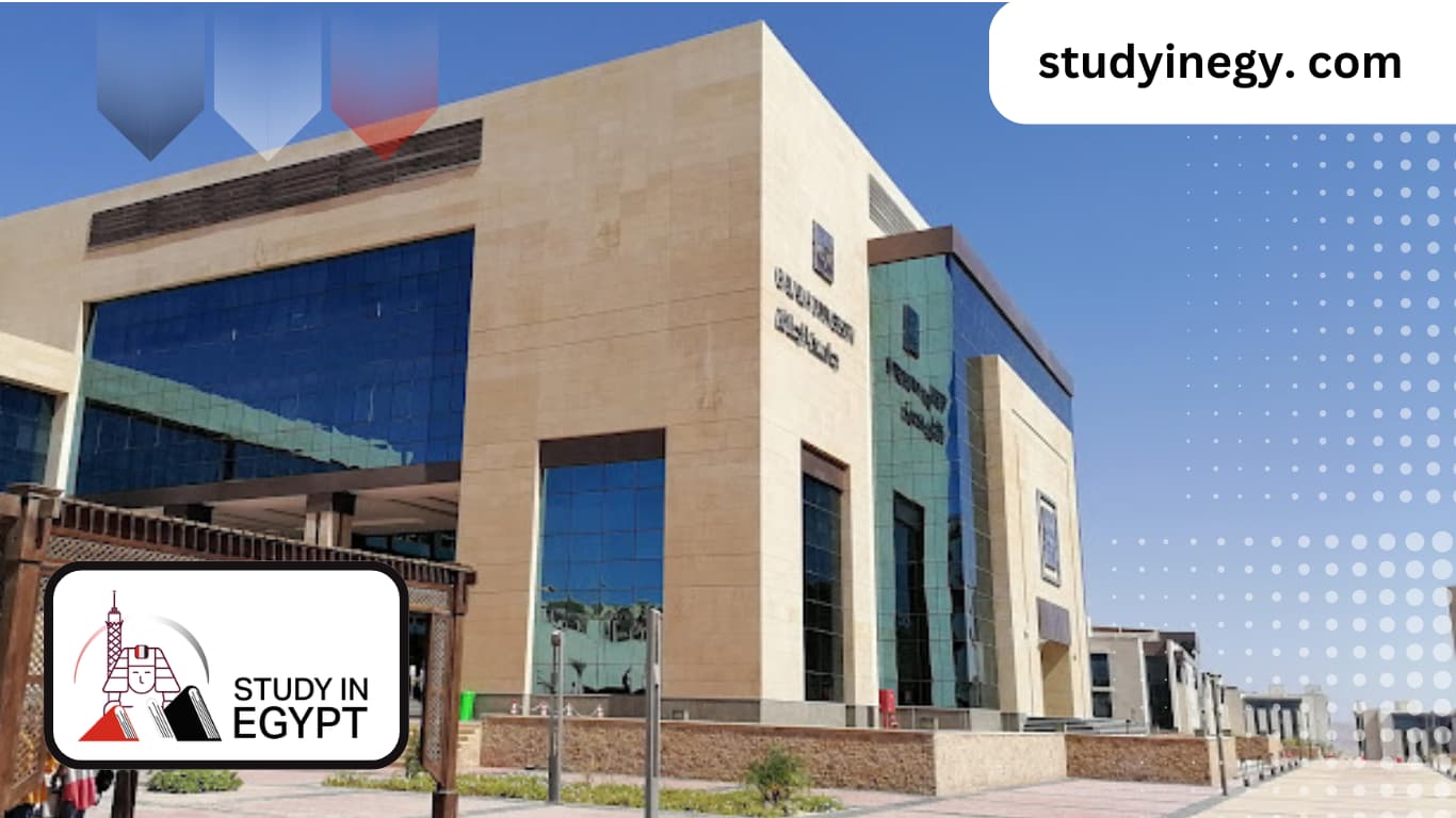 Private Medical Schools in Egypt