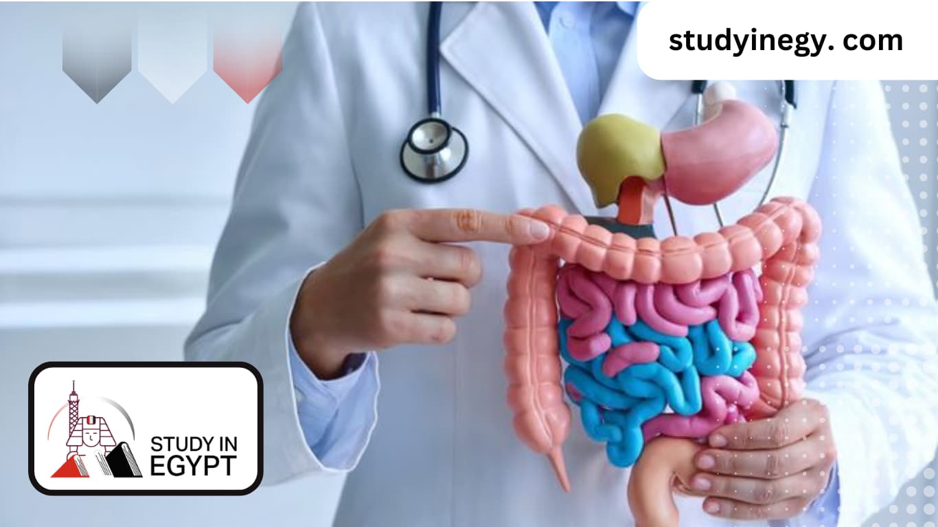 PhD in Liver and Gastroenterology Diseases in Egypt