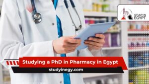 Studying a PhD in Pharmacy in Egypt