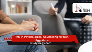 PhD in Psychological Counseling for Non-Egyptians
