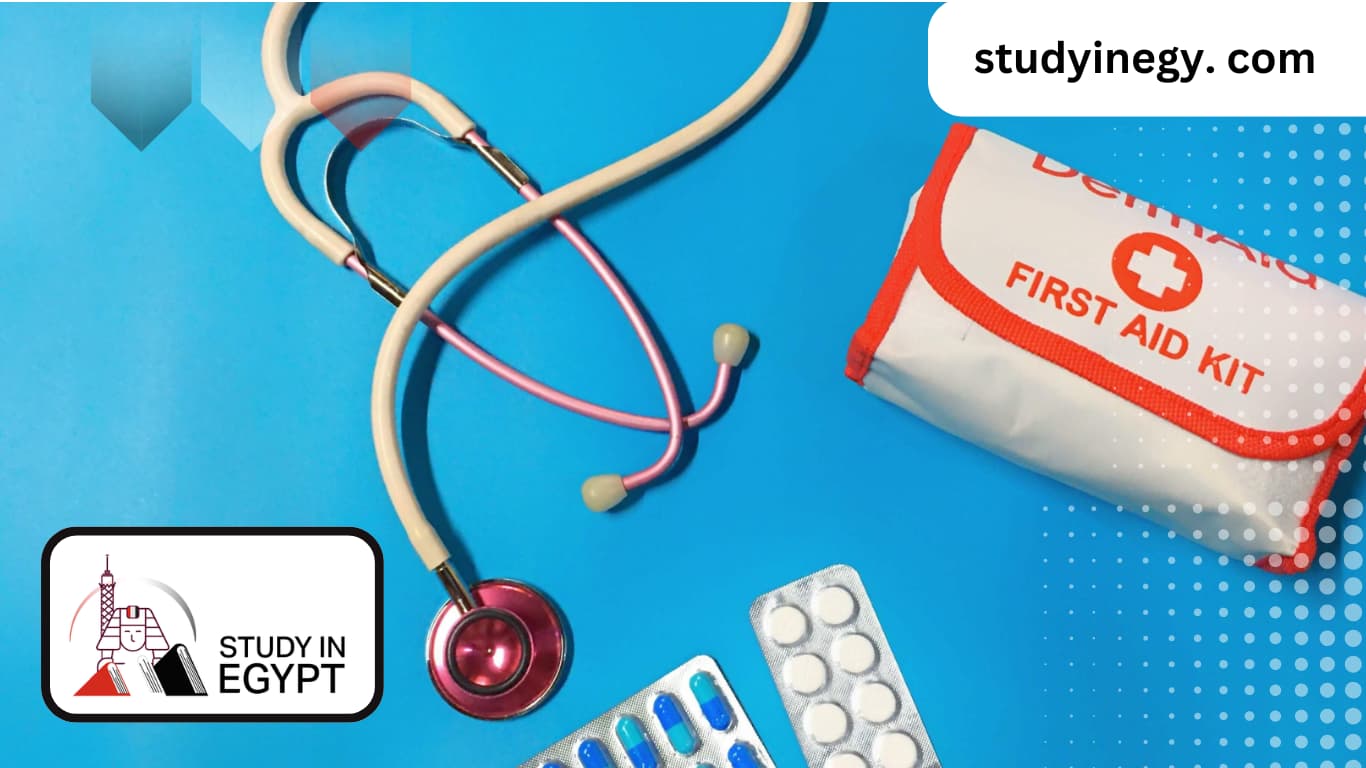 Easiest Admission for a Master’s in Nursing for non-Egyptians