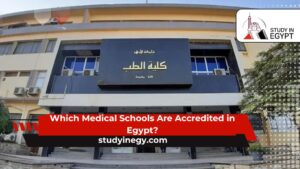 Which Medical Schools Are Accredited in Egypt?