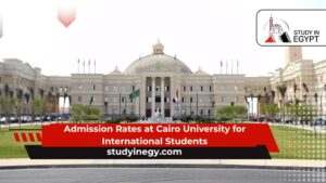 Admission Rates at Cairo University for International Students