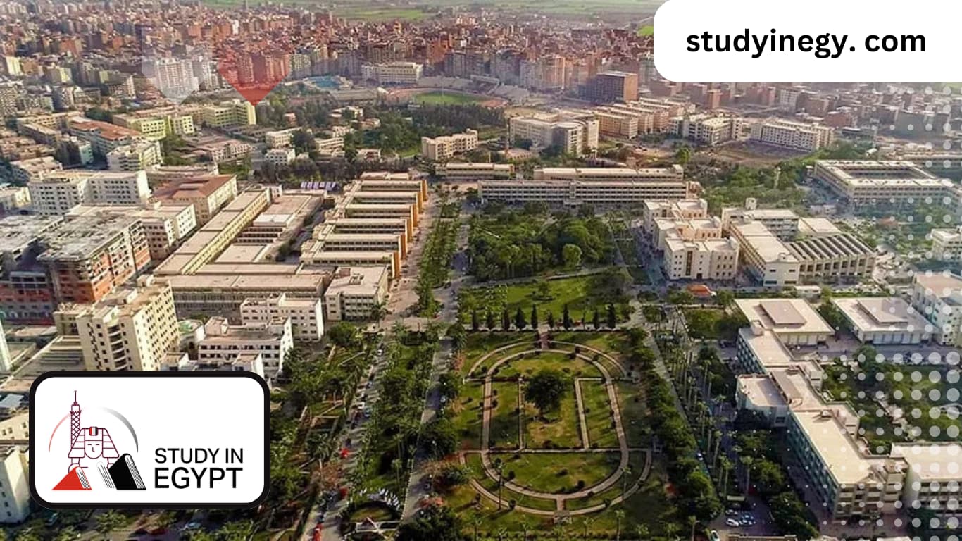 Tuition fees for the Faculty of Engineering at Mansoura University