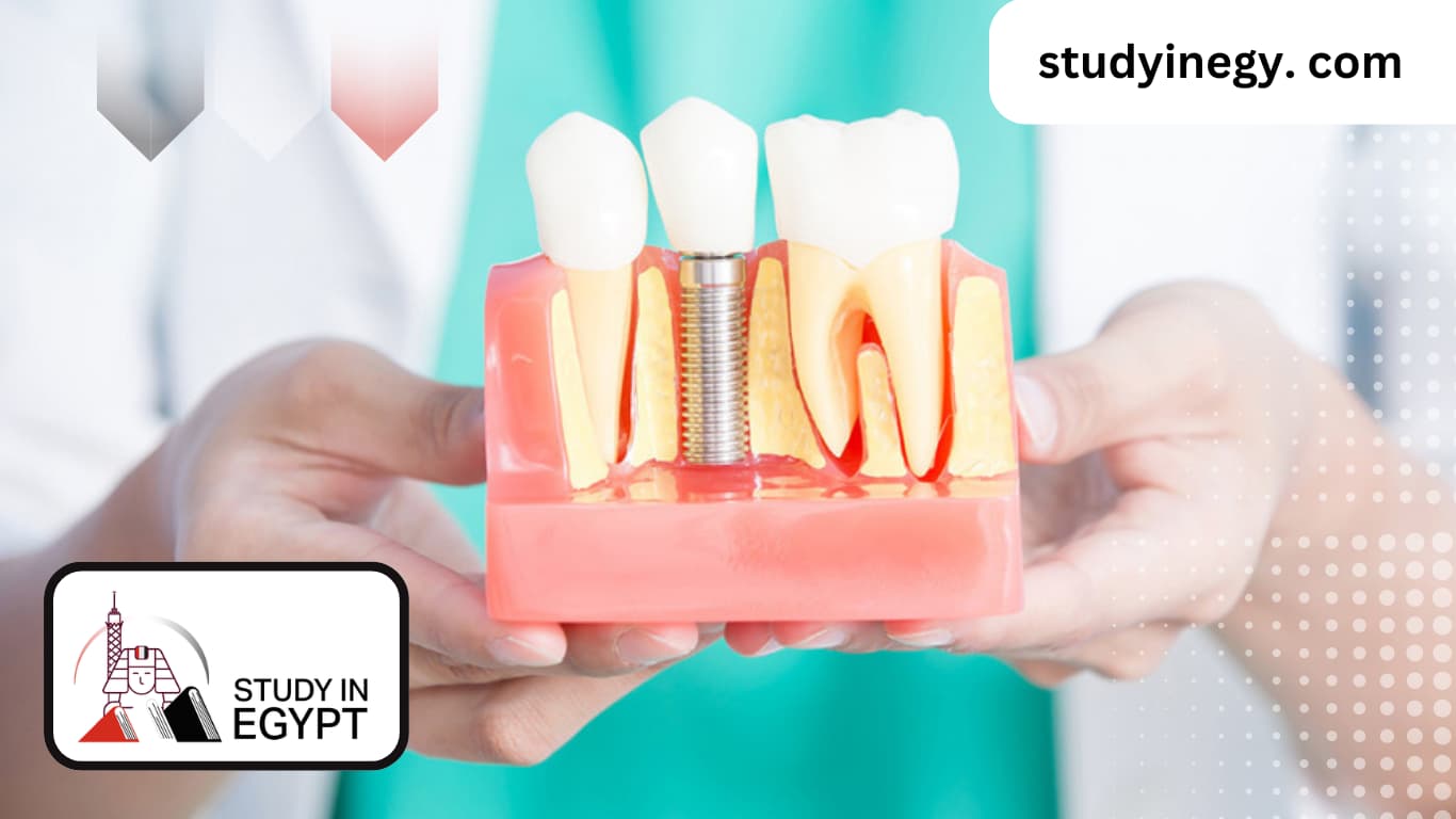 Easiest Admission for a Master’s Degree in Dentistry