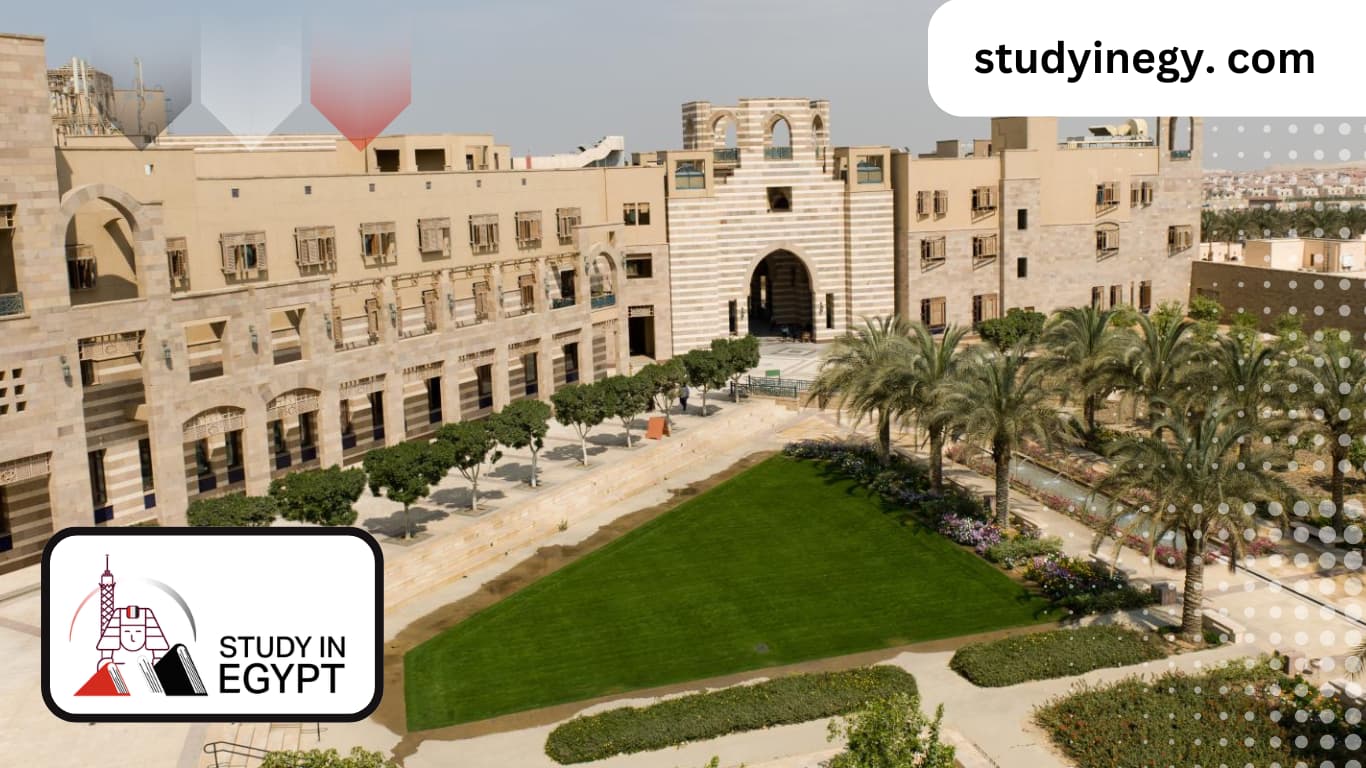 Cheapest University in Egypt for international students