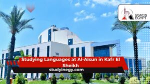 Studying Languages at Al-Alsun in Kafr El Sheikh