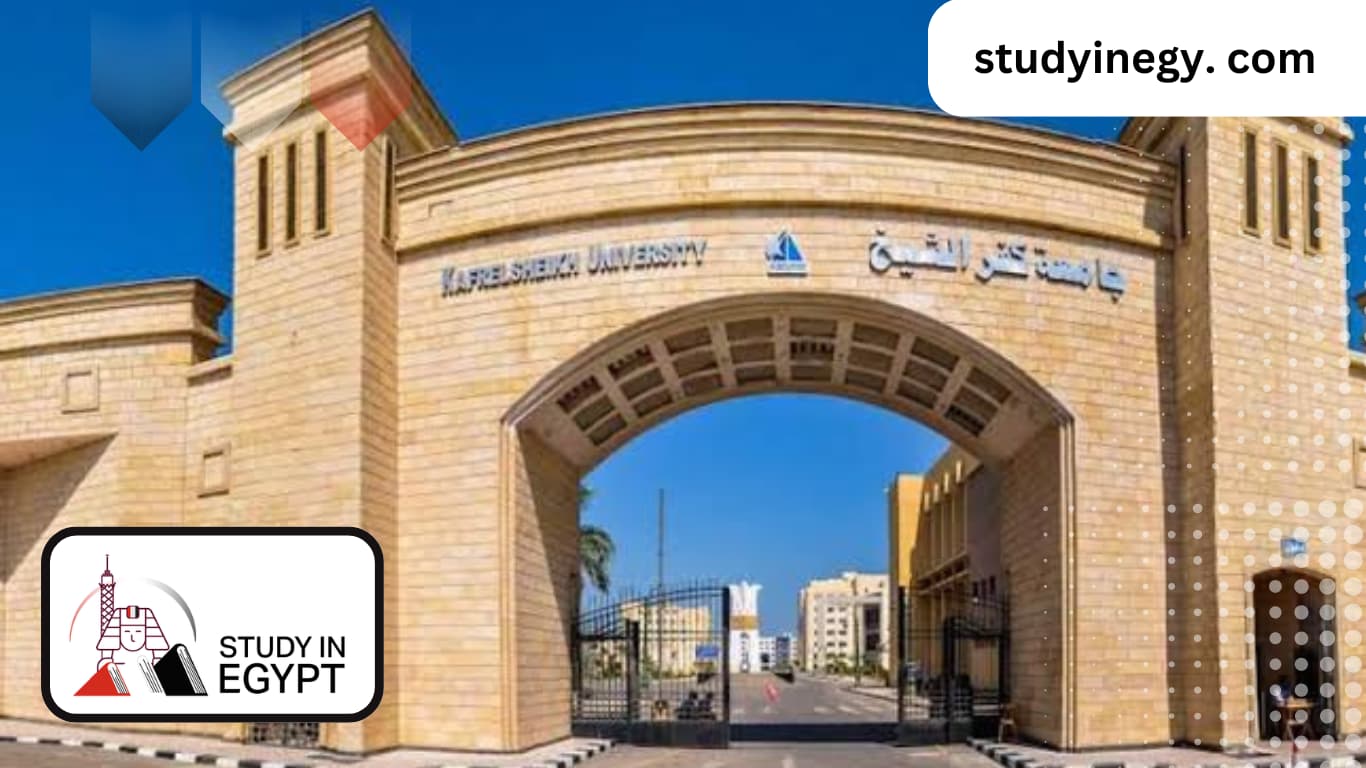 Studying Languages at Al-Alsun in Kafr El Sheikh